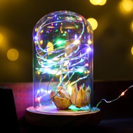 20/30 LED Fairy Lights with Battery Copper Wire String Light Christmas Festoon Garland Indoor Home Wedding New Year Decoration including batteries D4.0