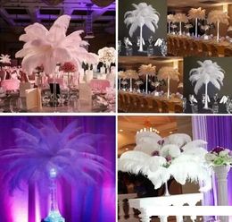 Colorful Ostrich Feather plumes for wedding centerpiece wedding party event decor festive decoration