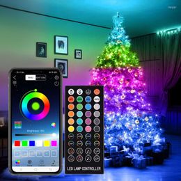 Strings LED Smart Garland Christmas Tree Lights String App Control Outdoor Rgb Fairy Lamps For Camping Tent Indoor Party Setting DecorLED