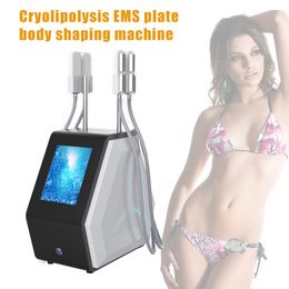 2 IN 1 crytheropy cryoskin fat freeze shape slimming machine cryolipolysis ems lipo beauty equipmen