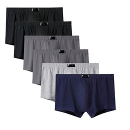 Underpants 6Pcs Boxer Male Panties Men's Underwear Boxers Breathable Sexy Man Soid Comfortable Plus Size L-6XLUnderpants