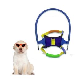 Pet Safe Halo For Blind Dogs Anticollision Ring Scorpion Cataract Animal Protection Circle Guide Dog Y200515