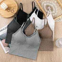 Bustiers & Corsets Seamless Sports Crop Top Adjusted Simple Basic Tube Sleeveless All Match Padded Women BraletteBustiers