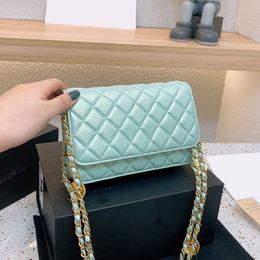 2022Ss F/W Womens Classic Mini Flap Iridescent Pearly Colours Bags Pink Green Gold Metal Hardware Matelasse Chain Multi Pochette Card Holder Wallet Handbgas 20X14CM