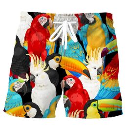 Men's Shorts Fashion Men Cute Animal Cockatoo Parrot 3D Printed Board Summer Casual Sports Pants Clothing S-5XLMen's