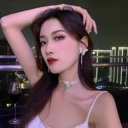 Earrings & Necklace South Korea's Design Fashion Jewelry Exaggerated Luxury Shiny Full Crystal Butterfly Female Prom JewelryEarrings