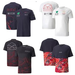 F1 Formula One T-shirt new team short-sleeved shirt with the same customization