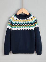 Toddler Boys Geo Pattern Raglan Sleeve Sweater SHE01