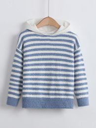 Toddler Boys Striped Pattern Hooded Drop Shoulder Sweater SHE