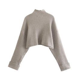 Women's Sweaters Temperament All-match Sweater Women Autumn And Winter Tops Vertical Stripes Short Long Sleeved Slim Knit SweaterWomen's