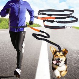 Dogs Leash Running Elasticity Hand Freely Pet Products Dogs Harness Collar Jogging Lead Adjustable Flexible Traction Waist Rope 201101