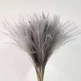 Decorative Flowers & Wreaths Real Reed Small Pampas Grass Wedding Bunch Phragmites Ornamental Bulrush Flores Secas Natural Home Decor Dried