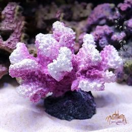 11X8X9CM rium Artificial Coral Ornaments Pink Green Simulation Resin for Fish Tank tic Decorations Y200917