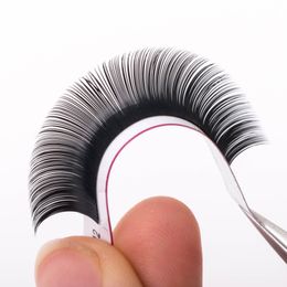 Individual Eyelashes Soft Thick Natural Long Synthetic Lashes