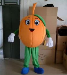 Discount factory sale EVA Material Vegetables pumpkin Mascot Costumes Crayon Cartoon Apparel Birthday party Masquerade