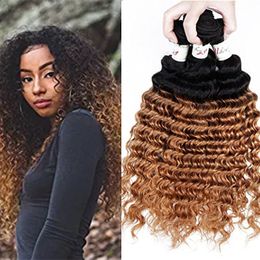Wholesale Brazilian Ombre Hair Weave Wet For Resale Group Buy