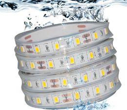 5M RGB 5050 LED Strip IP68 Waterproof 12V 60LED/M Use Underwater for Swimming Pool Fish Tank Bathroom Outdoor With 44keys Remote Contorller