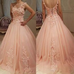 2019 Fashion Prom Dresses Lace Appliques Sleeveless Evening Gowns with 3d Flowers Lace-up Back A-Line Formal Party Dress