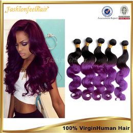 2 Tone Purple Hair Extension Ombre Purple Peruvian Humain Hair Black and Purple Ombre Hair Weave Purple Color Body Wave Hair 2 Tone Purple Hair Extension Ombre Purple Peruvian Humain Hair Black and Purple Ombre Hair Weave Purple Color Body Wave Hair