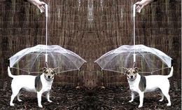 Useful Transparent PE Pet Umbrella Small Dog Umbrella Rain Gear with Dog Leads Keeps Pet Dry in Rain Snowing