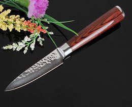Neuer 3.5 "Zoll Berufsdamaststahl-Küche-Messer VG10 handgemachter Hammer geschmiedetes Damast-Scherblock-Versorgungsmaterial-FREIES VERSCHIFFEN