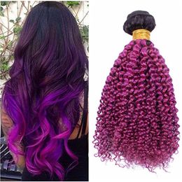 Dark Root 1B/Purple Ombre Peruvian Human Hair Bundles Kinky Curly 2Tone Colored Purple Ombre Virgin Human Hair Weaves Extensions