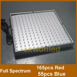 Wholesale 220 LED Blue + Red Indoor Garden Hydroponic Plant Grow Light Panel 14 Watt + Hanging Kit DHL UPS