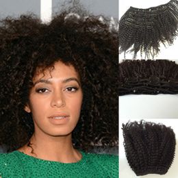 Afro Kinky Curly Clip In Hair Extensions 100% Brazilian Virgin Interlovehair Remy Human Hair 7PCS/Set 120G Clip Ins Weave