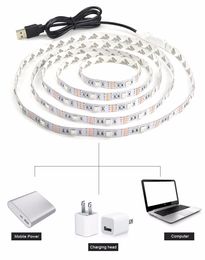 Hot sale 5050 DC 5V USB Power Supply Decor RGB LED Strip light lamp Tape 50CM 1M 2M Ribbon White / Warm White / RGB for Computer Desktop