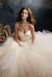 Simple Champagne Tulle Wedding Gowns Strapless Wedding Dresses Draped Sweetheart Bridal Gowns Flower Appliques Sashes Custom Made robe