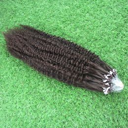 #4 Dark Brown Brazilian virgin hair curly micro loop hair extensions 100g brazilian kinky curly micro loop human hair extensions100s