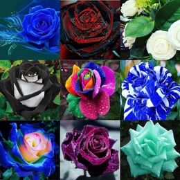 Wedding Packages Coupons Promo Codes Deals 2018 Get Cheap