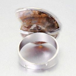 -Natural Ammonite Conch Shell Anelli di disegno unico unisex-anello regolabile gioielli vassoio di gioielli anello a buon mercato