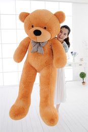 giant teddy nz