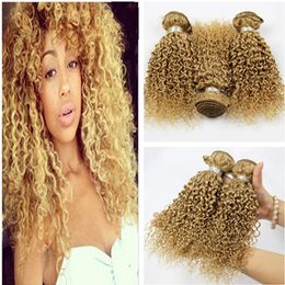 Kinky Curly #27 Honey Blonde Virgin Human Hair Wefts Extensions 3Pcs Curly Malaysian Human Hair Weaves Strawberry Blonde Hair Bundles