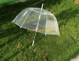 20pcs/lot Free Shipping Hot sale Princess Umbrella 34" Big Clear Cute Bubble Deep Dome Umbrella