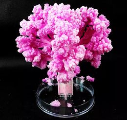 iWish Visual 2017 14x11cm Pink Big Grow Magic Paper Sakura Tree Magically Growing Trees Kit Japanese Desktop Cherry Blossom Kids Toys 100PCS