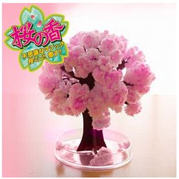 iWish 14x11cm Visual 2017 Pink Big Grow Magic Japanese Sakura Paper Tree Magically Growing Trees Kit Desktop Cherry Blossom Christmas 5PCS