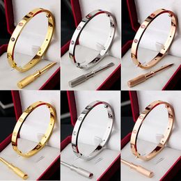 Stainless Steel Couple Jewellery Love bracelets Bangles for women Gold Colourful Crystal Screw screwdriver Bangles Man Pulseiras with Dust bag