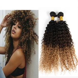 Ombre Hair Inches Prices Canada Best Selling Ombre Hair Inches