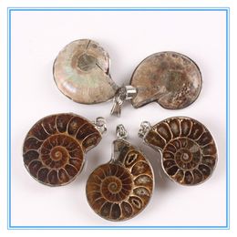 10Pcs/Lot Exotic Handmade Natural Ammonite Conch Shell Stone Pendant Bead Exquisite Fashion Brown Snail Agate Pendant For Wedding Men Women