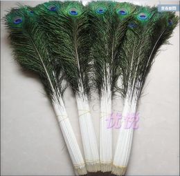 Whole 100pcslot 1044inch25110cm beautiful High quality natural peacock feathers eyes for DIY clothes decoration Wedding7647457