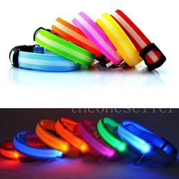 Pet Collar LED Flashing Glow Necklace Leashes Cat Collars Adjustable Nylon 8 Colours 3size 2.5cm for Dog Safety Factory DHL
