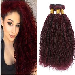 Burgundy Hair Bundles Kinky Curly #99j Wine Red Brazilian Peruvian Malaysian Virgin Hair Extensions 3Pcs lot Afro Kinky Hair Wefts