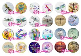 New Arrival Interchangeable 18mm Cabochon Glass Stone Buttons Insect Dragonfly Buttons for Snap Jewellery Bracelet Necklace Ring Earrings