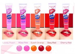 1440pcs Hot Lip Gloss Peel-off Lasts For 24h No Stain Marine Collagen Lipstick Balm Plant Romantic Bear 6 Colours Makeup Moisturising