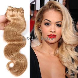 body wave 14 22 brazilian malaysian indian peruvian hair Coloured human weft hair extensions 100g p free shipping