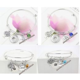 New Arrival Fashion DIY Interchangeable Snap Jewellery Style Crystal Birthstone Charm Expandable Wire Snap Bangles Bracelet For Women Gifts