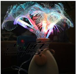 2.5 M 10 LED Morning Glory fiber LED String Band night lamp LED wedding party light curtain