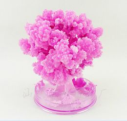 iWish New Visual 2017 Magical Artificial Grow Sakura Trees Christmas Growing Paper Tree Japanese Desktop Cherry Blossom Magic Kids Toys 2PCS